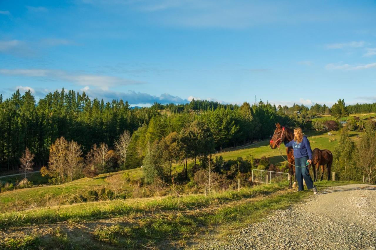 Countryview Haven Villa Tasman Luaran gambar